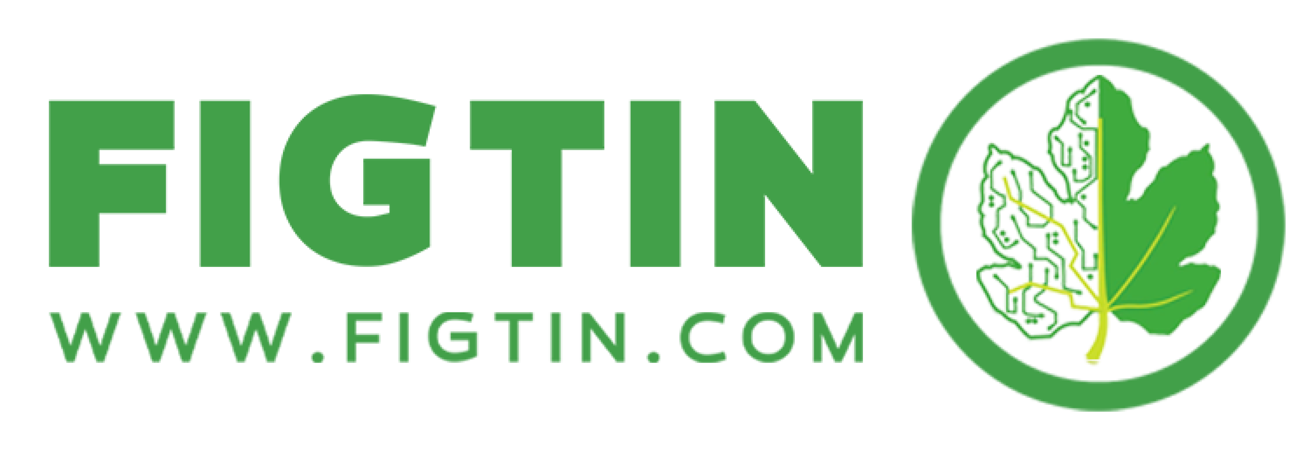 Figtin