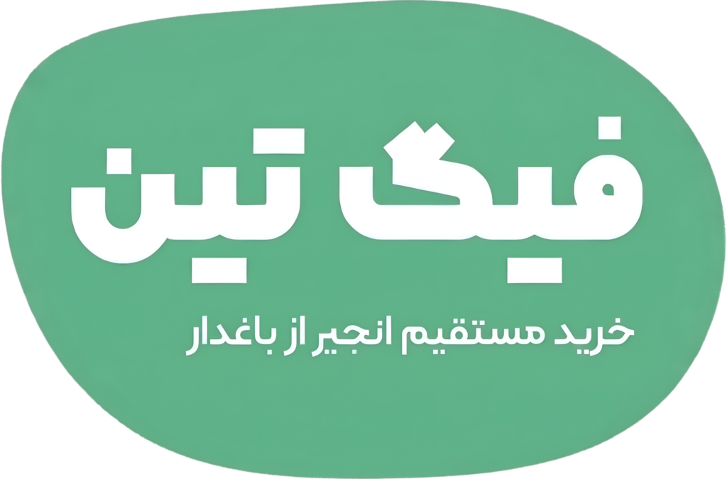 خرید مستقیم انجیر خشک استهبان و فرآوردههای ارگانیک فیگتین مستقیم از باغدار