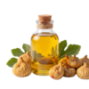 روغن موضعی انجیر طبیعی و درمانی دست‌چین باغات دیم استهبان برند فیگ‌تین