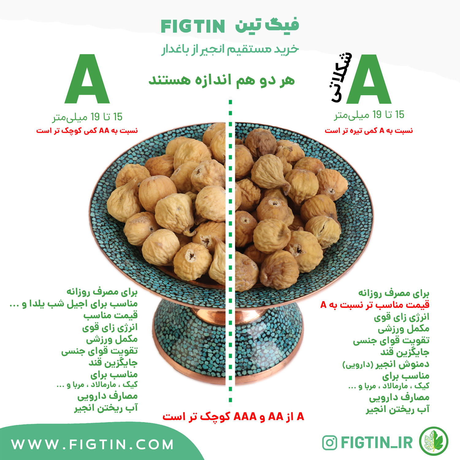 مقایسه انجیر خشک استهبان گرید A روشن و شکلاتی فیگتین
