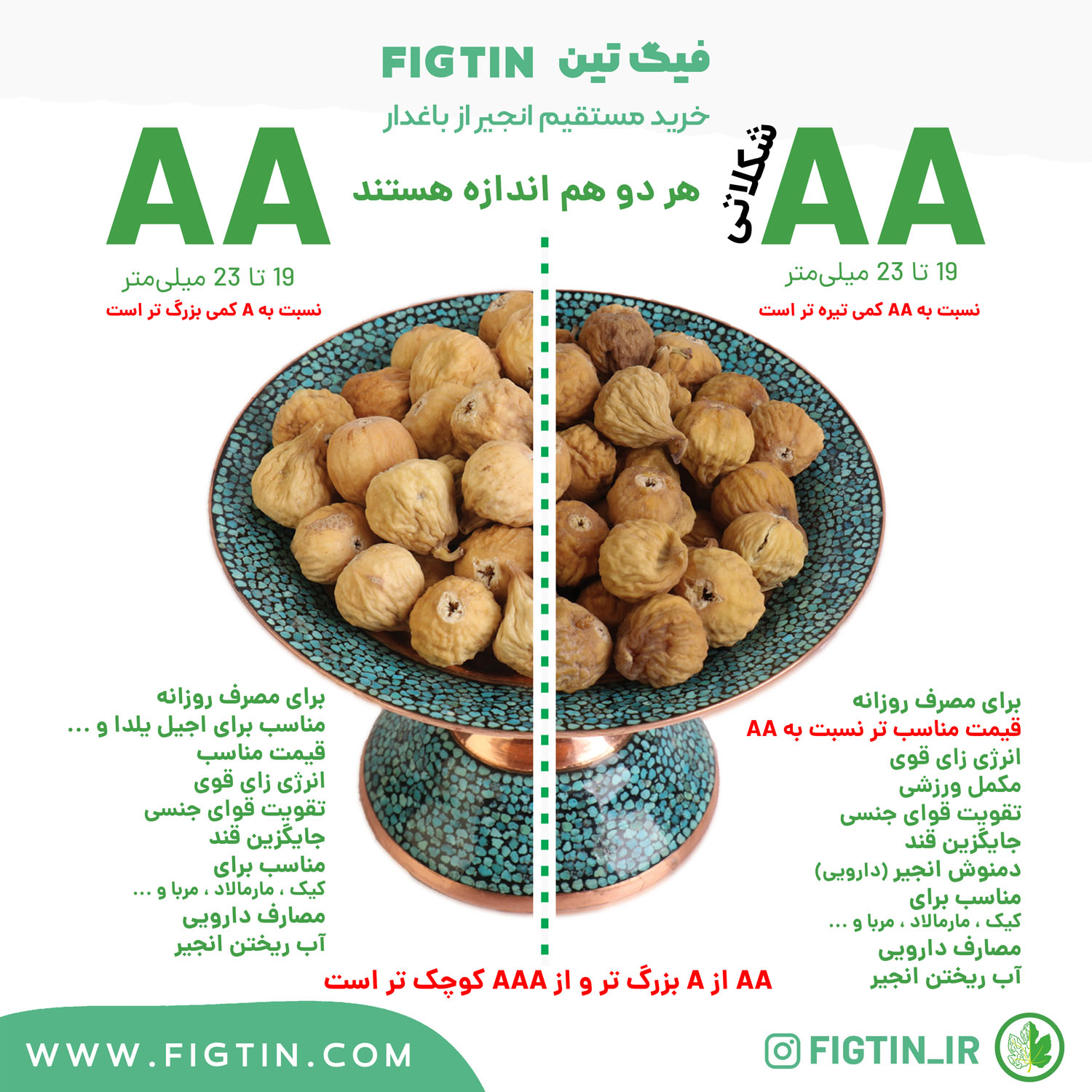 مقایسه انجیر خشک استهبان گرید AA روشن و شکلاتی فیگتین