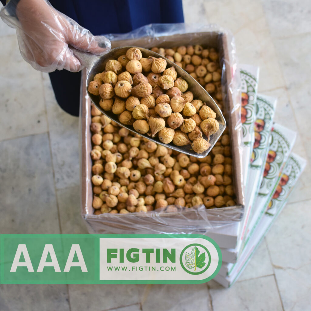 سورتینگ بهداشتی و آماده‌سازی کارتن انجیر خشک استهبان گرید AAA فیگ‌تین