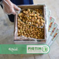 سورتینگ بهداشتی و آماده‌سازی کارتن انجیر خشک استهبان گرید غنچه فیگ‌تین