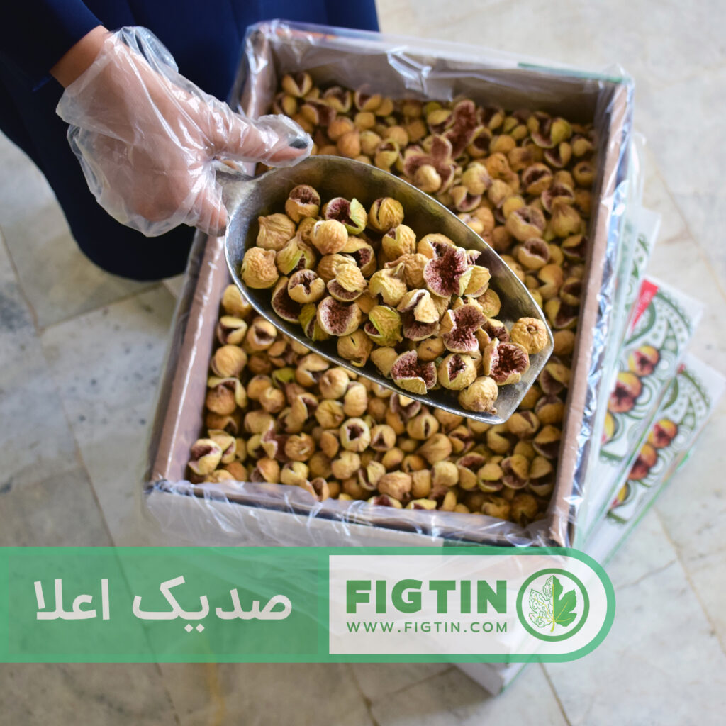 سورتینگ بهداشتی و آماده‌سازی کارتن انجیر خشک استهبان گرید صدیک اعلاء فیگ‌تین